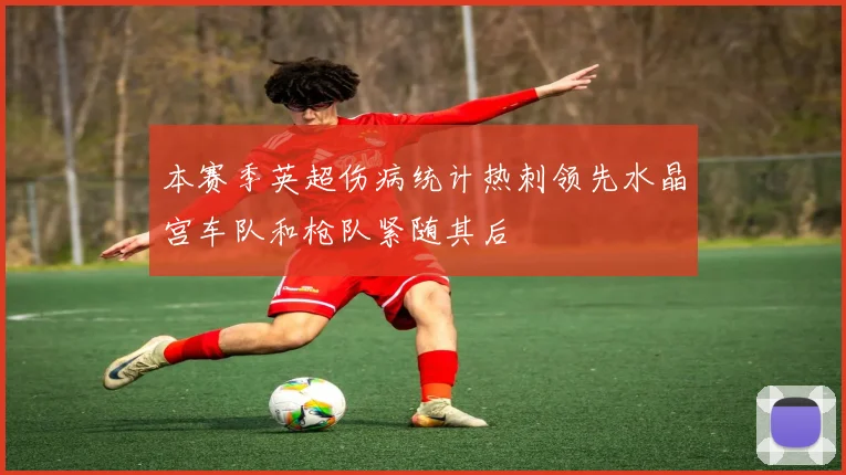 本赛季英超伤病统计热刺领先水晶宫车队和枪队紧随其后